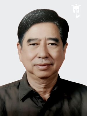 Ir Bambang Handoko Kosnadi